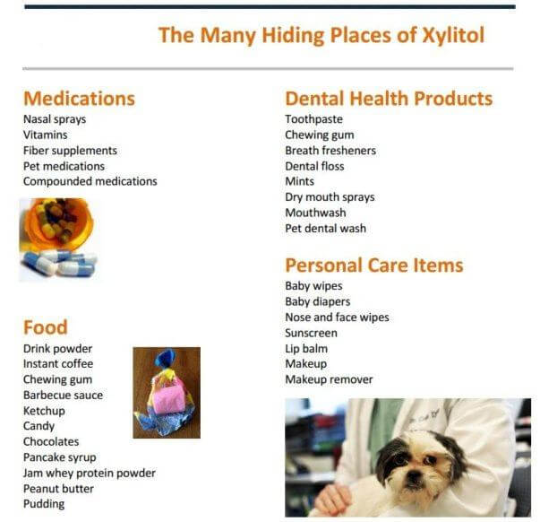 Is Xylitol Toxic To Dogs? Side Effects and Symptoms DentalsReview