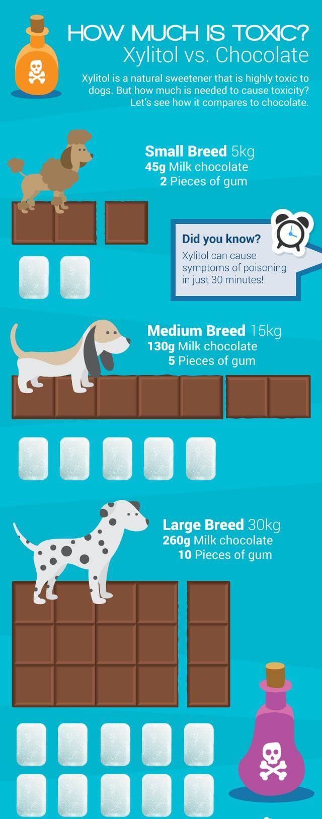 My Dog Ate Xylitol at Tynisha Wright blog